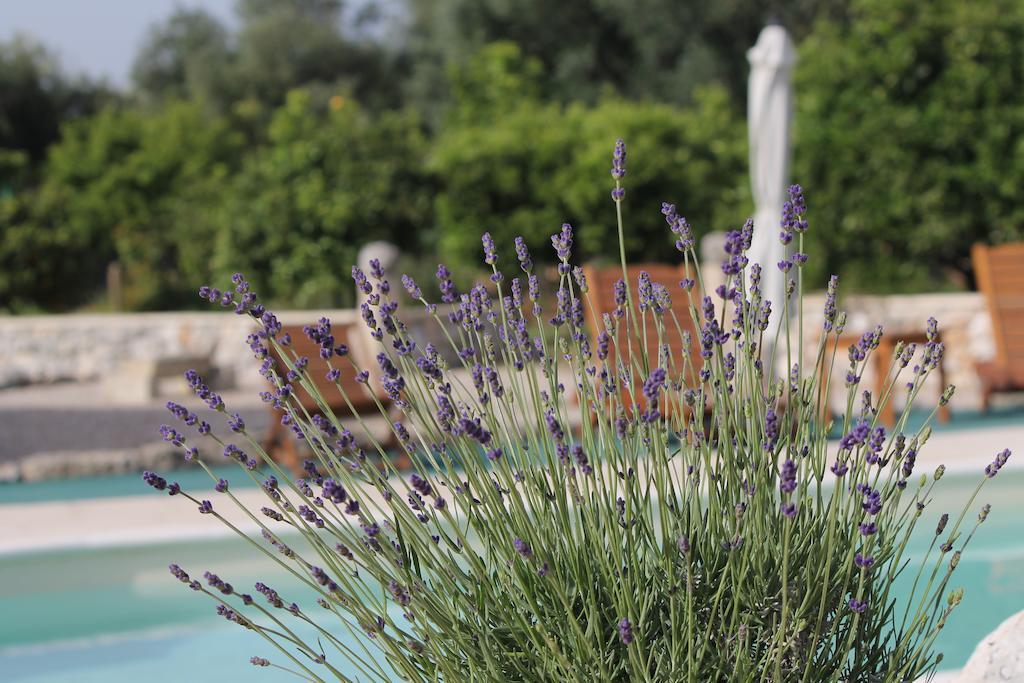 Agriturismo Masseria Saittole Carpignano Salentino Esterno foto